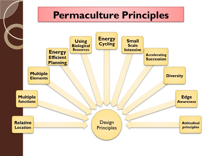 Permaculture principles